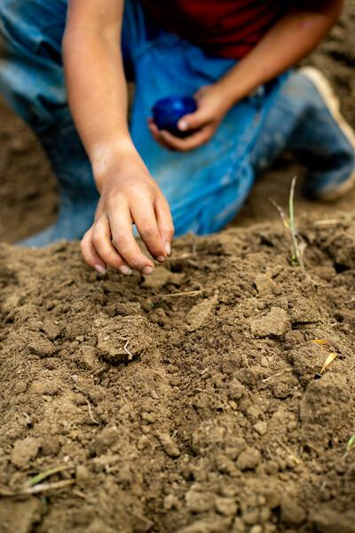 Meno di dieci morti di Covid tra i bambini sostenuti