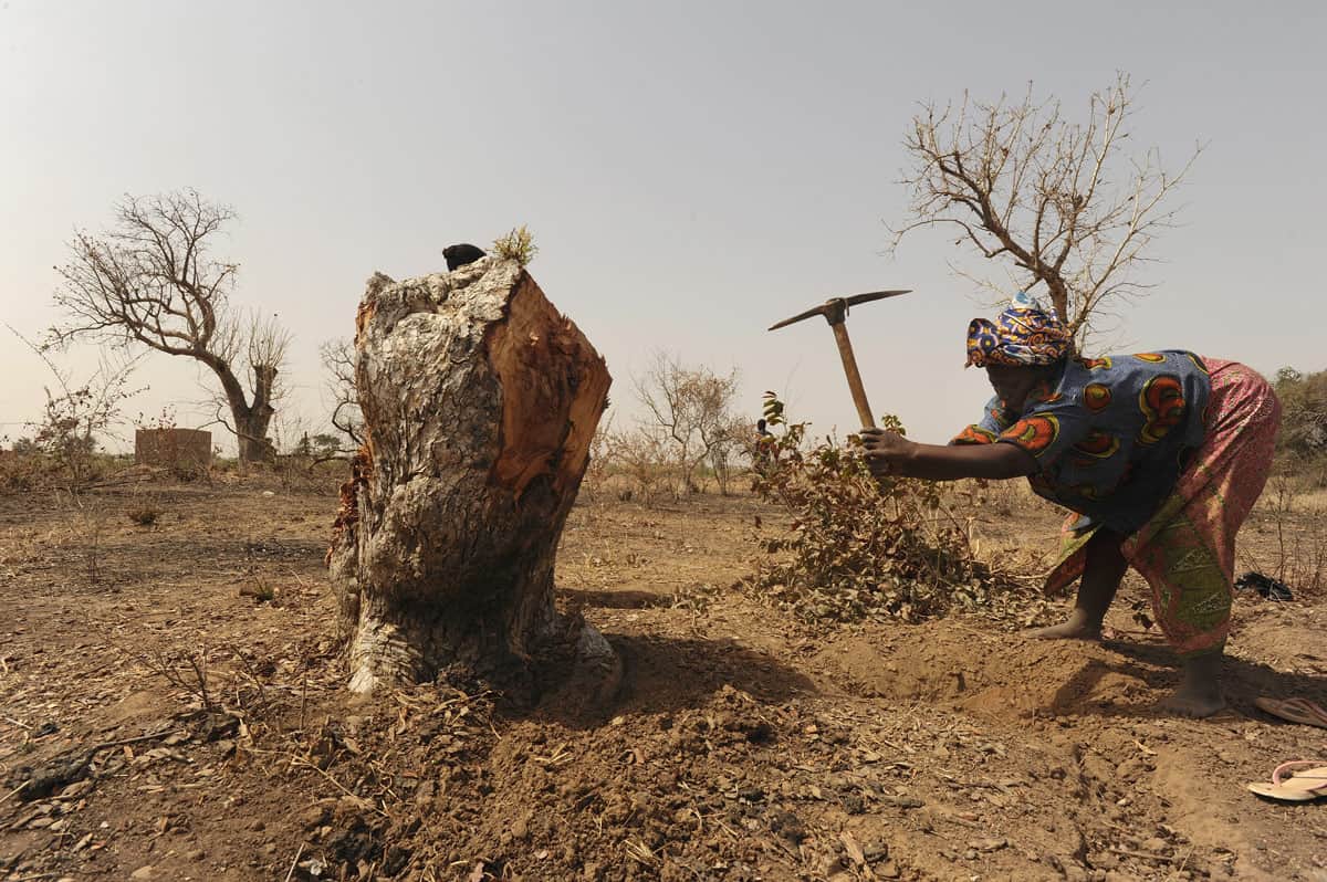 Gartenbau Burkina Faso
