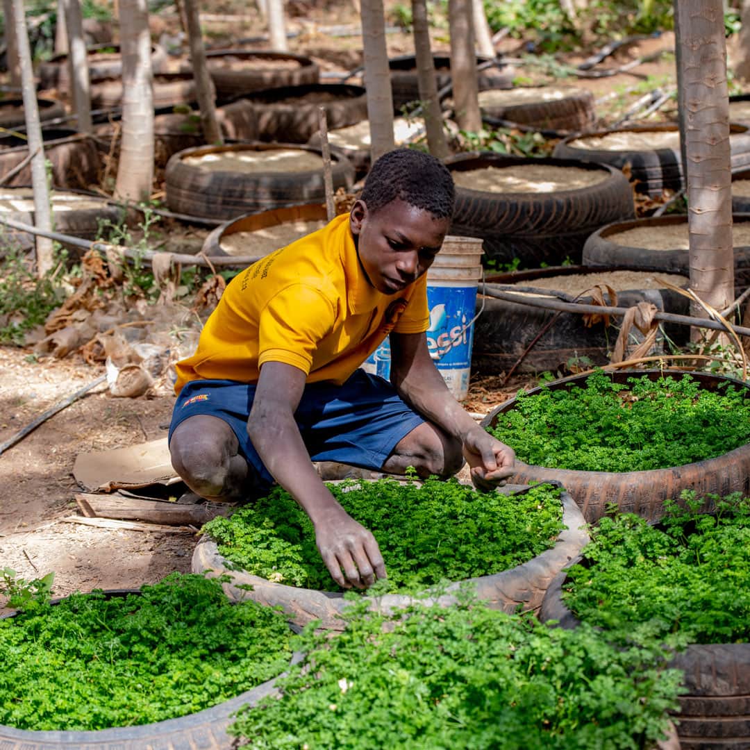 Apprentissage pour les jeunes au Burkina Faso